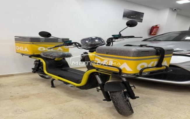 Moto électrique 