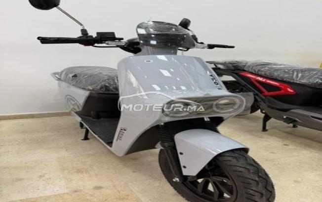 Moto électrique 
