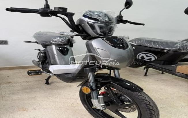 Moto électrique 