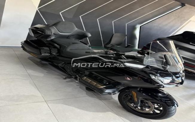 Goldwing 2024