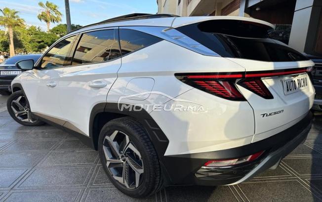 Jeep - Wrangler 2019