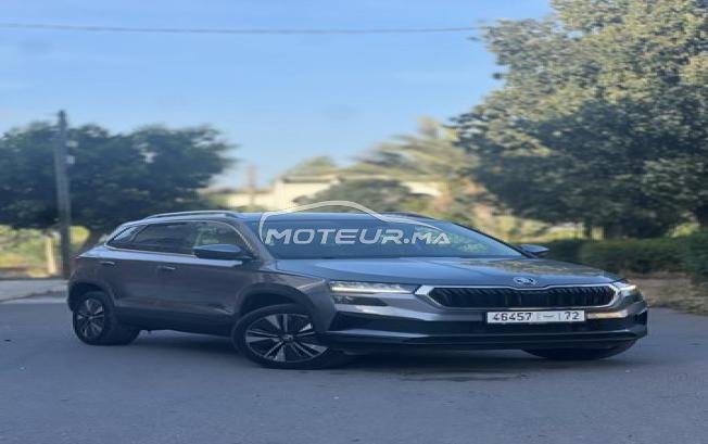 Skoda karoq style 