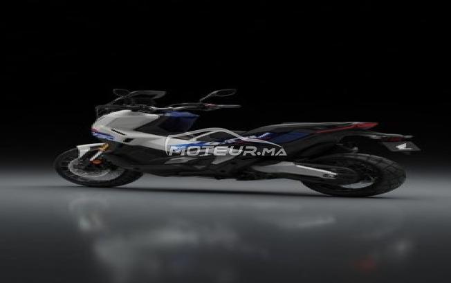 HONDA XADV 750 Edition Special 2026 -DERKAOUI MOTO