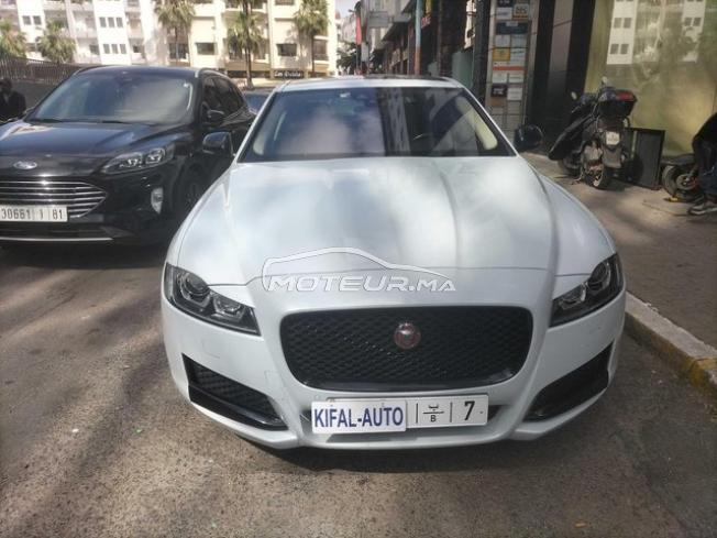KIFAL - JAGUAR XF