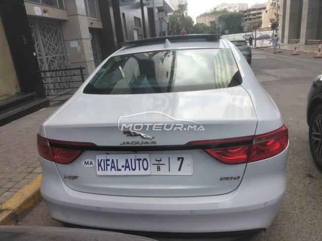KIFAL - JAGUAR XF