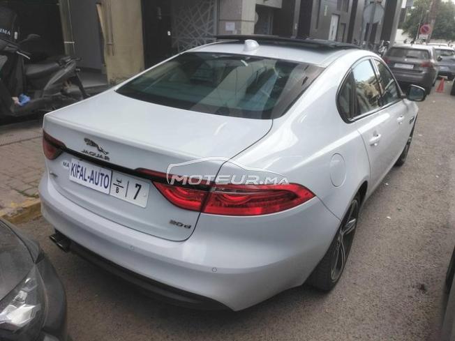 KIFAL - JAGUAR XF