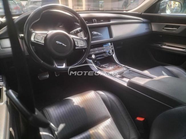 KIFAL - JAGUAR XF