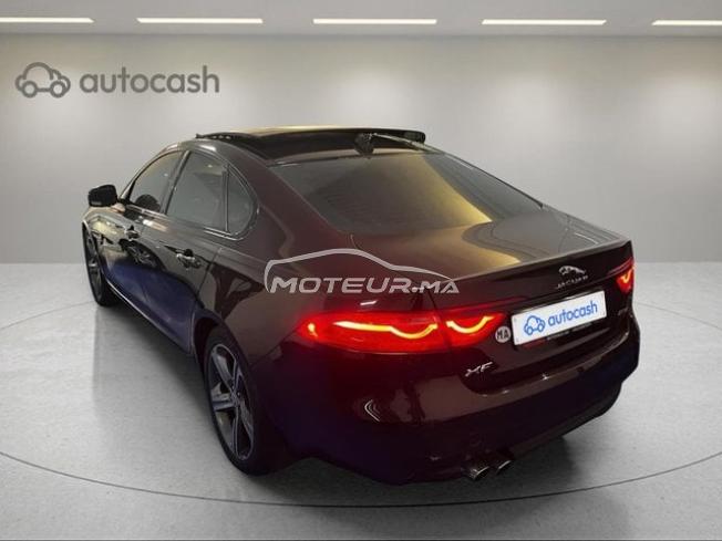 1410 - Jaguar XF 2019 expertisée avec financement