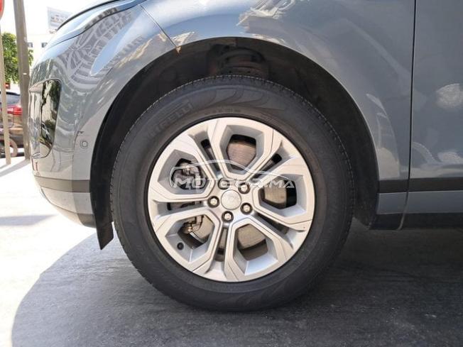 1426 - Land rover Range Rover Evoque 2021 expertis