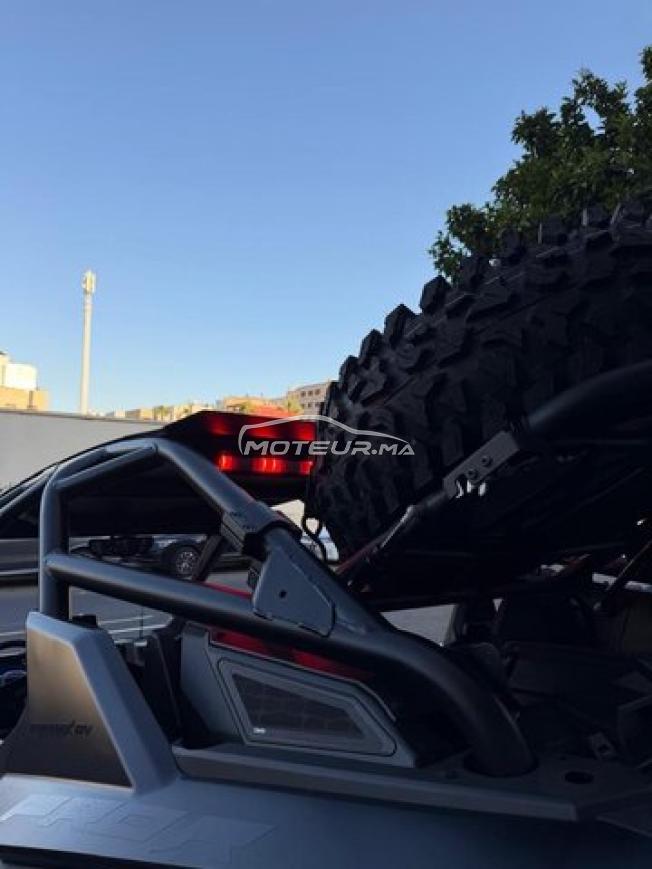 Buggy Polaris rzr