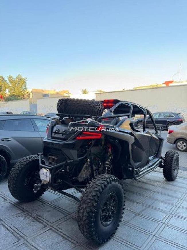 Buggy Polaris rzr