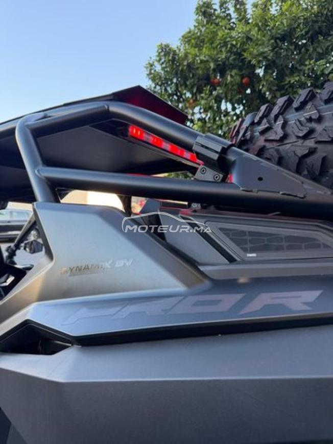 Buggy Polaris rzr