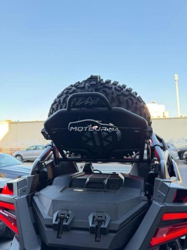Buggy Polaris Rzr pro r
