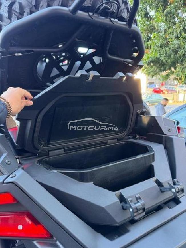 Buggy Polaris Rzr pro r