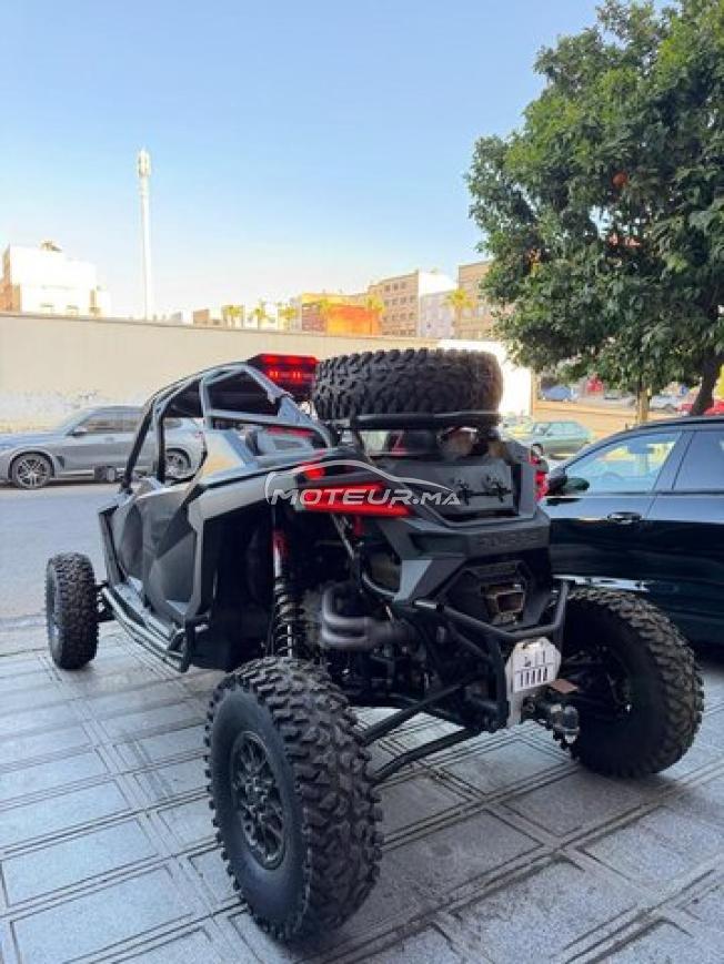 Buggy Polaris Rzr pro r