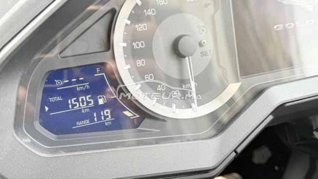 GOLDWING DCT 2024