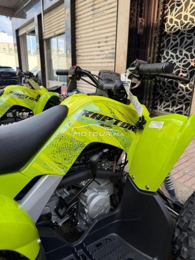Raptor 110 