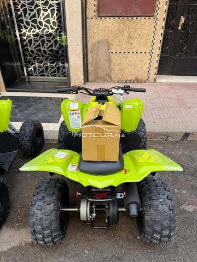 Raptor 110 