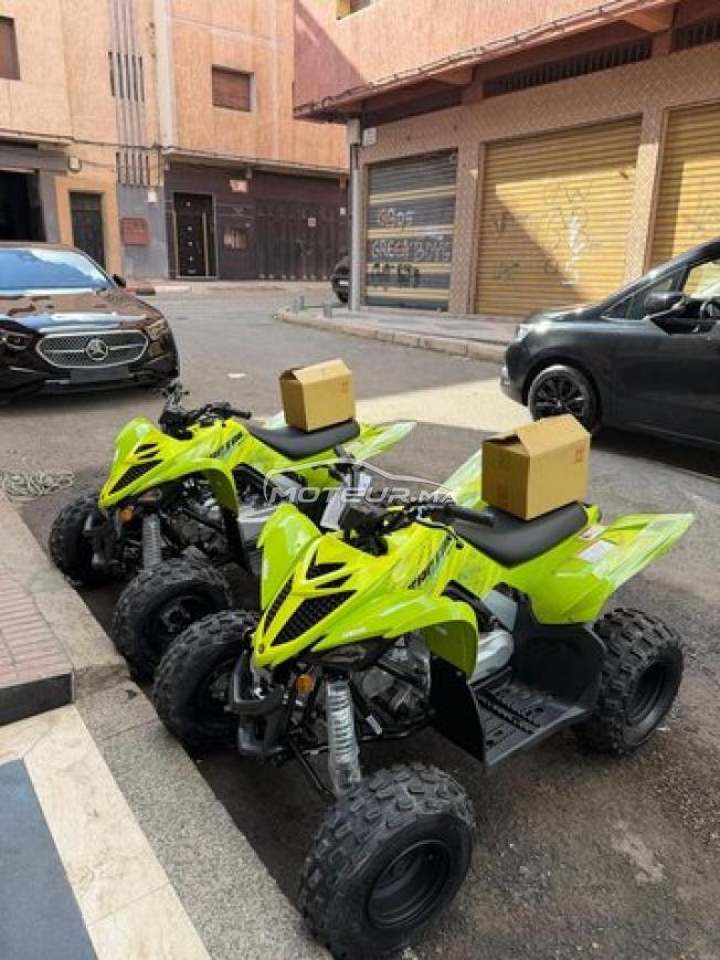 Raptor 110 