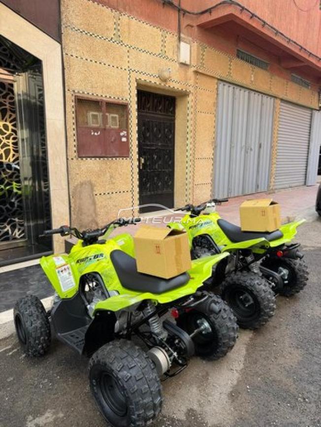 Raptor 110 