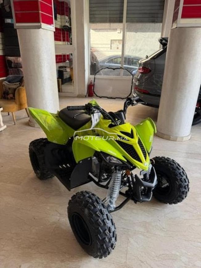 Quad raptor 110