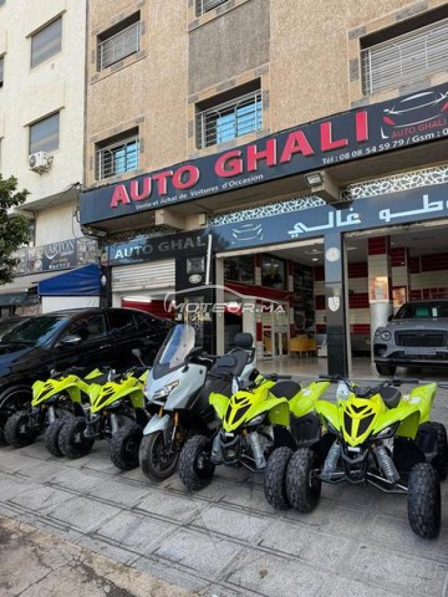 Yamaha raptor 110