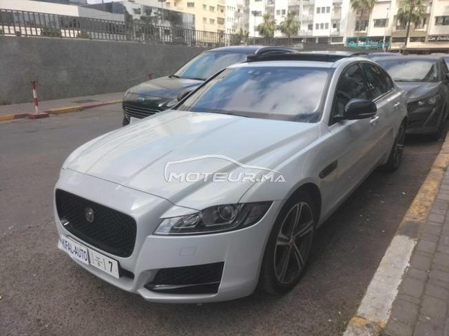 KIFAL - JAGUAR XF