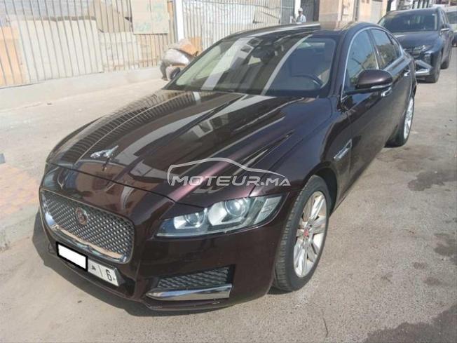 KIFAL - JAGUAR XF
