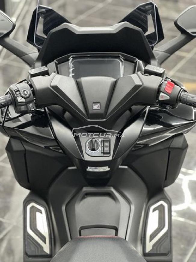 Honda Forza 350 Edition Spec 2026 - DERKAOUI MOTO 