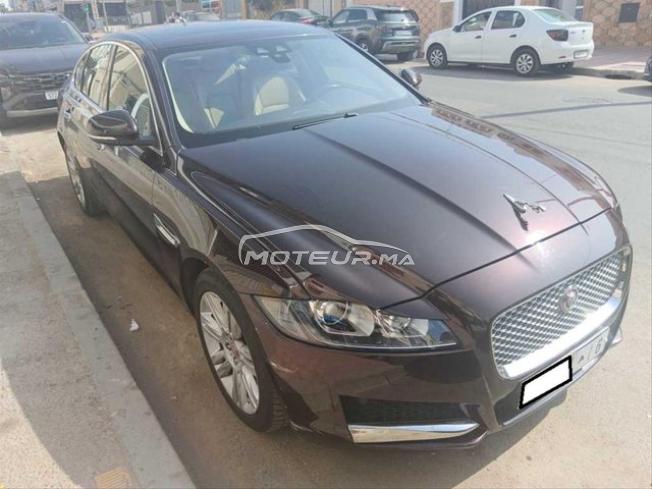 KIFAL - JAGUAR XF