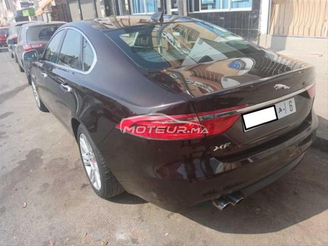 KIFAL - JAGUAR XF