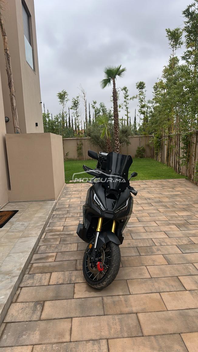 Honda x adv neuf modèle 2024