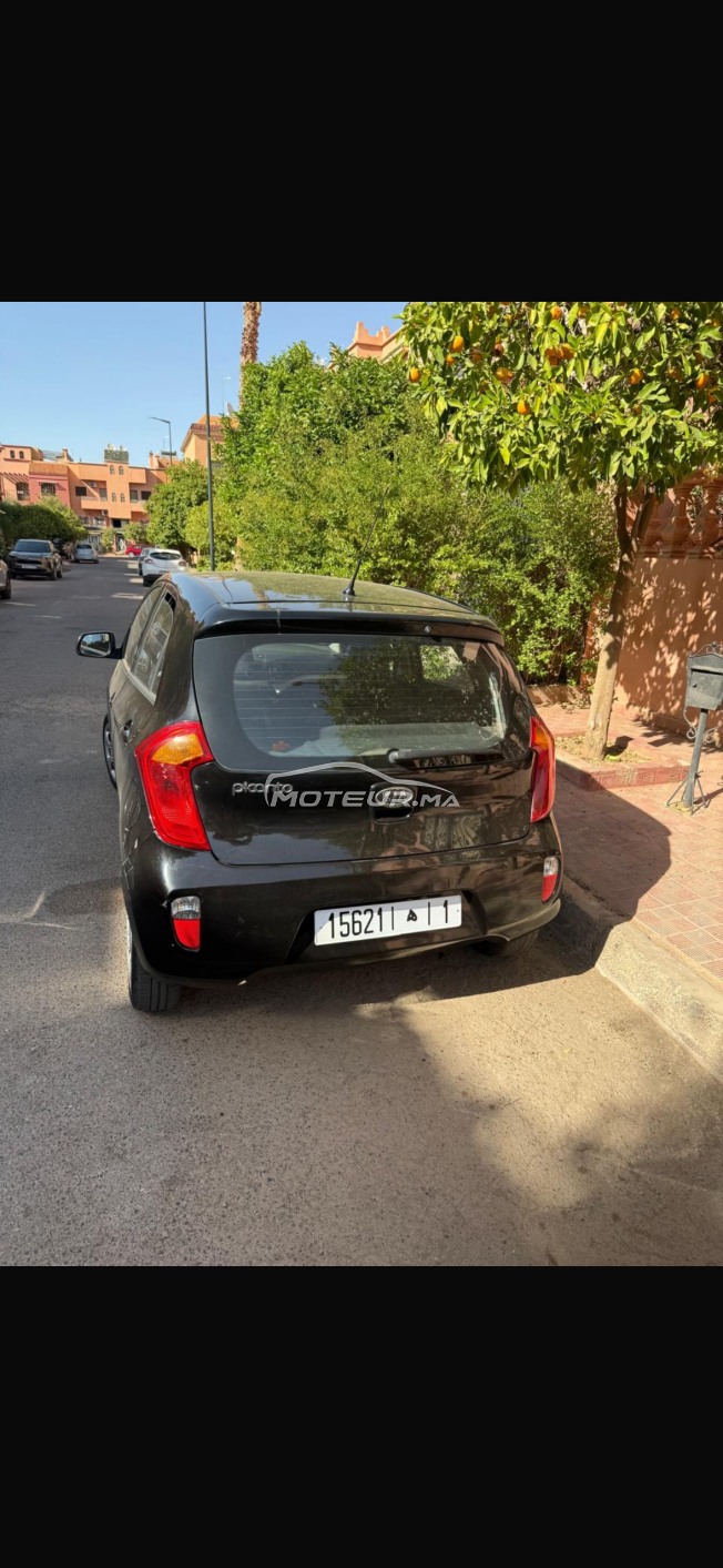 Kia picanto