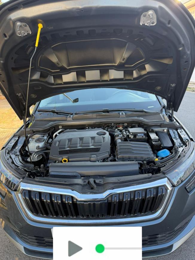 Skoda kamiq 2021