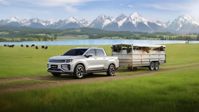 image جيلي ريدارا 